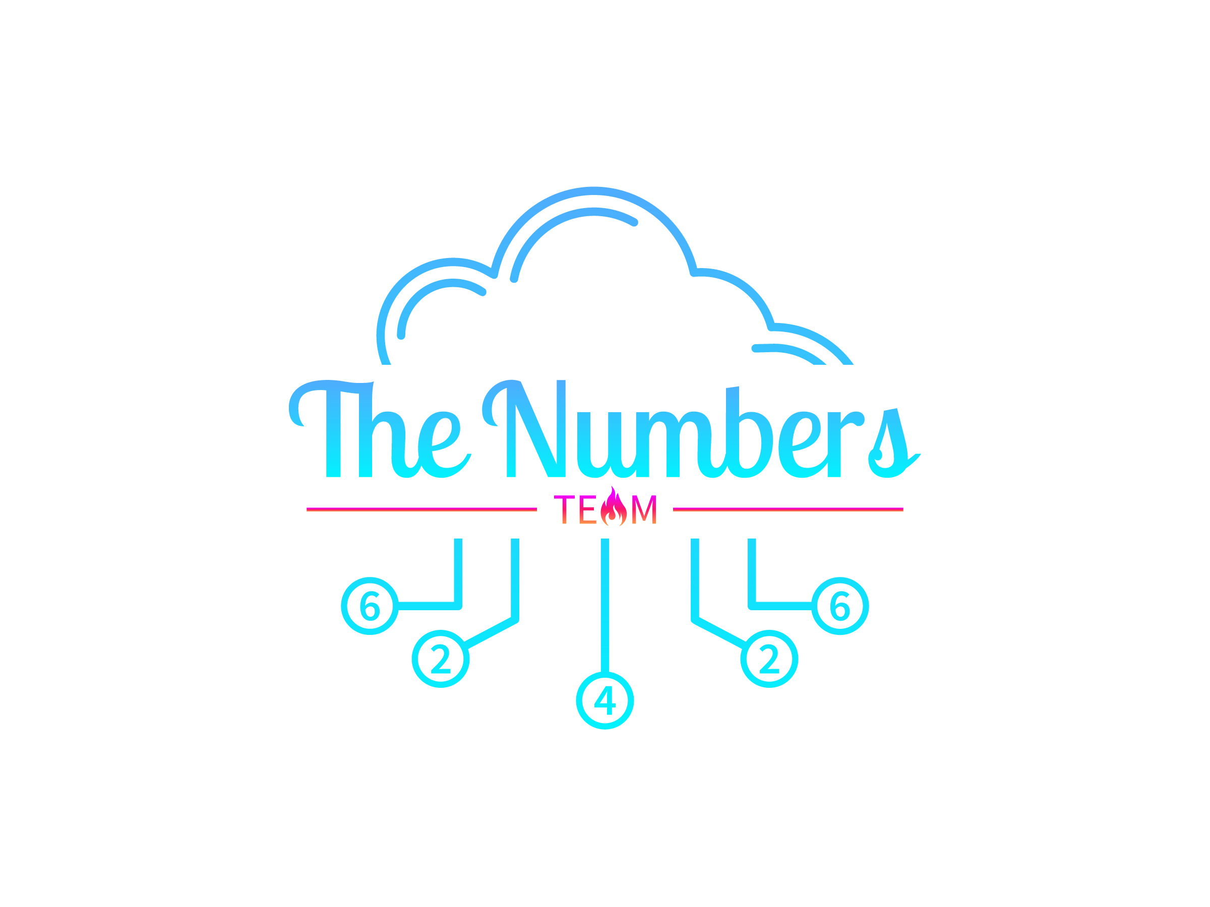 The Numbers Team